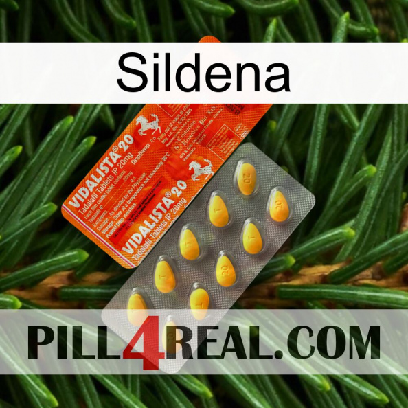 Sildena new01.jpg